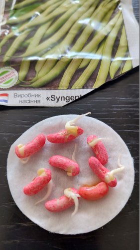 ПРОФ Квасоля Кларон 10г. 12.2025р 87% схожість СЦ