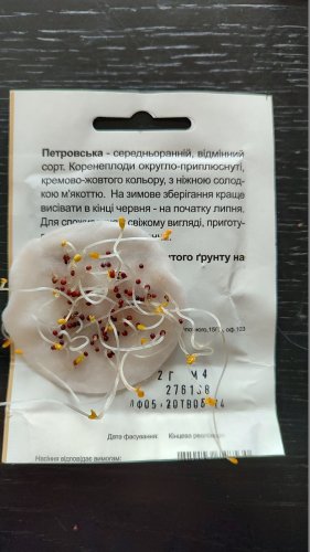 Ріпа Петровська 2г СЦ 05.2024р 80% схожість Традиція