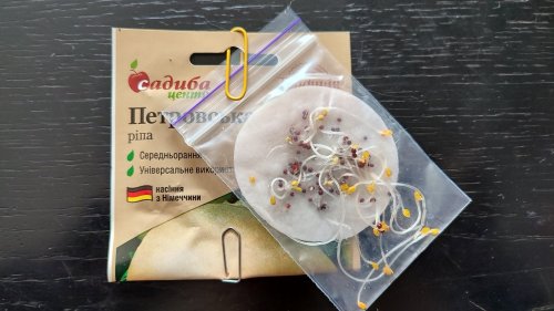 Ріпа Петровська 2г СЦ 05.2024р 80% схожість Традиція