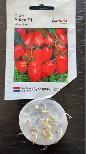 Томат Улісе F1 20 нас 02.2024р 100% схожість СЦ 
