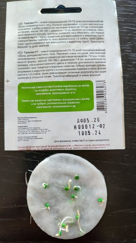 Томат Галілея F1 10 нас 05.2024р 100% схожість СЦ