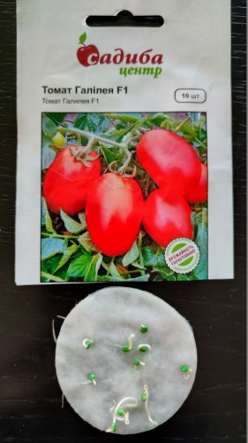 Томат Галілея F1 10 нас 05.2024р 100% схожість СЦ
