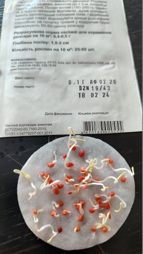 Томат Чорний Принц 0,1г. 02.2024р 98% схожість СЦ Традиція