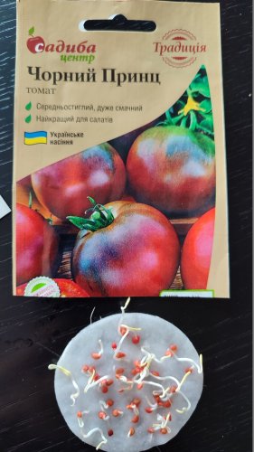 Томат Чорний Принц 0,1г. 02.2024р 98% схожість СЦ Традиція