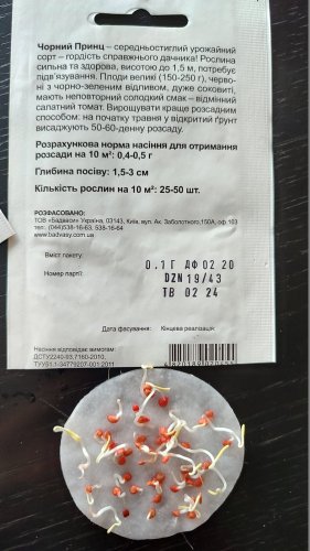 Томат Чорний Принц 0,1г. 02.2024р 98% схожість СЦ Традиція