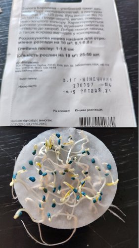 Томат Золота Королева 0,1г 98% схожість СЦ Традиція 09.2024р 