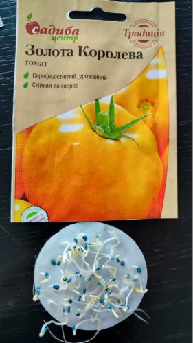 Томат Золота Королева 0,1г 98% схожість СЦ Традиція 09.2024р 