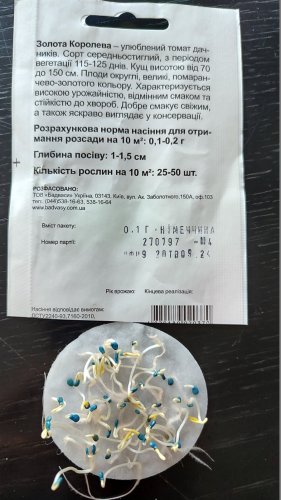 Томат Золота Королева 0,1г 98% схожість СЦ Традиція 09.2024р 