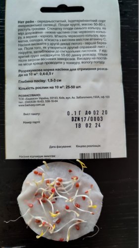 Томат Найт Рейн 0,1г. 94% схожість СЦ Традиція 02.2024р 