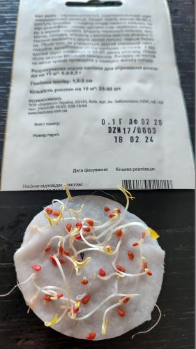 Томат Найт Рейн 0,1г. 94% схожість СЦ Традиція 02.2024р 