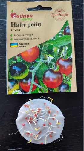 Томат Найт Рейн 0,1г. 94% схожість СЦ Традиція 02.2024р 