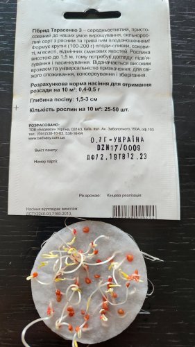 Томат Гібрид Тарасенка 3 0,1г 80% схожість СЦ Традиція 12.2023р 