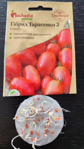 Томат Гібрид Тарасенка 3 0,1г 80% схожість СЦ Традиція 12.2023р 