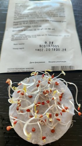 Томат Новічок рожевий 0,2г. 98% схожість СЦ Традиція 02.2024р 