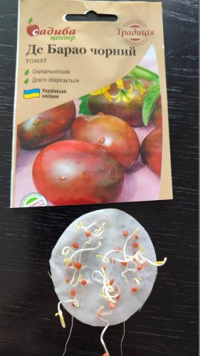 Томат Де Барао чорний 0,1г. 98% схожість СЦ Традиція 01.2024р
