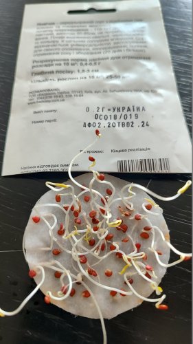 Томат Новічок 0,2г. 98% схожість СЦ Традиція 02.2024р 