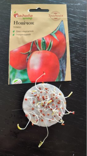 Томат Новічок 0,2г. 98% схожість СЦ Традиція 02.2024р 
