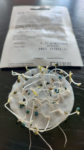 Томат Даліда 0,1г СЦ 02.2024р схожість 98% Традиція