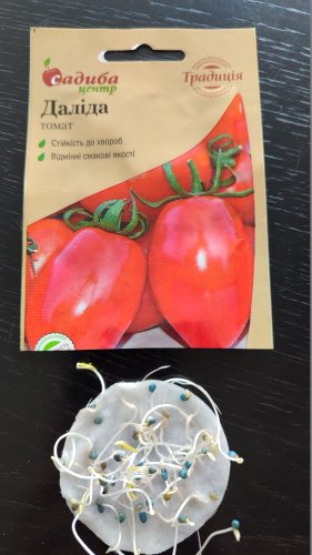 Томат Даліда 0,1г СЦ 02.2024р схожість 98% Традиція