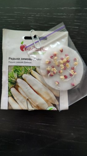Редька Дайкон 3г 100% схожість СЦ 02.2024р