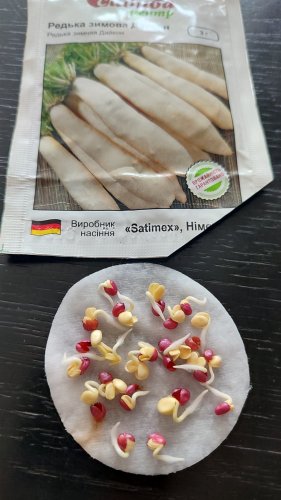 Редька Дайкон 3г 100% схожість СЦ 02.2024р