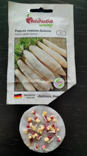 Редька Дайкон 3г 100% схожість СЦ 02.2024р