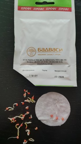 ПРОФ Перець Зорже 5 г. СЦ Традиція 03.2026р