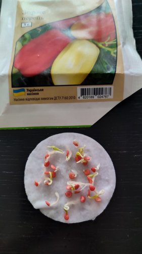 ПРОФ Перець Зорже 5 г. СЦ Традиція 03.2026р