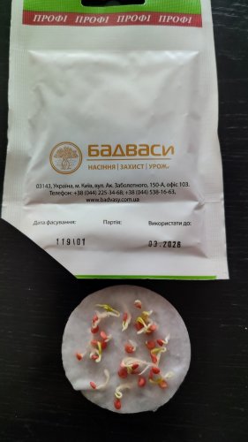 ПРОФ Перець Зорже 5 г. СЦ Традиція 03.2026р