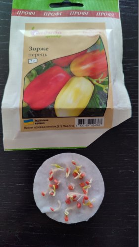 ПРОФ Перець Зорже 5 г. СЦ Традиція 03.2026р