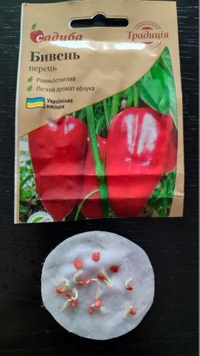 Перець Бивень 0,3г. СЦ Традиція 02.2026р