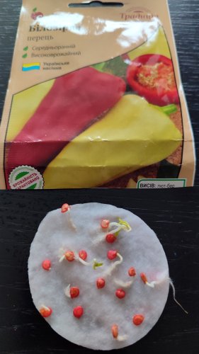 Перець Білозірка 0,3г СЦ Традиція 12.2025р 