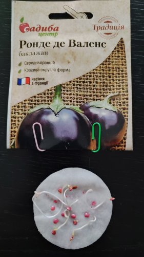 Баклажан Ронде де Валенс 0,3г. 01.2024р схожість 57%СЦ Традиція