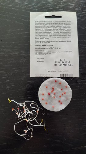 Томат Де Барао помаранчевий 0,1г. 45% схожість СЦ Традиція 01.2024р