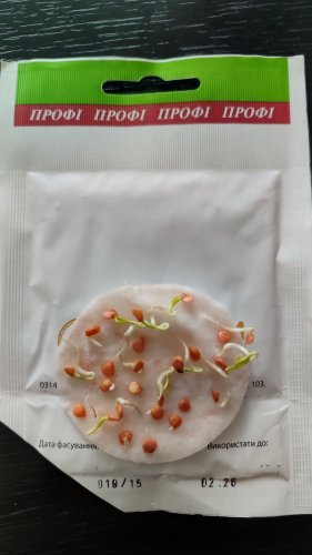 ПРОФ Перець Подарунок Молдови 5г СЦ Традиція 02.2026р