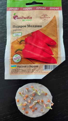 ПРОФ Перець Подарунок Молдови 5г СЦ Традиція 02.2026р