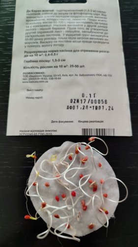 Томат Де Барао жовтий 0,1г СЦ Традиція 01.2024р 