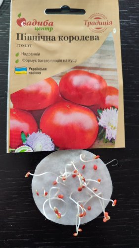 Томат Північна королева 0,1г. СЦ Традиція 12.2023р