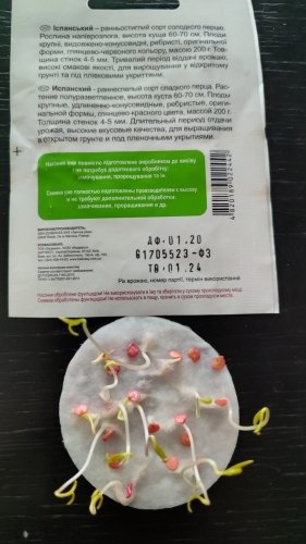 Перець Іспанський 20 нас.01.2024р схожість 100% СЦ