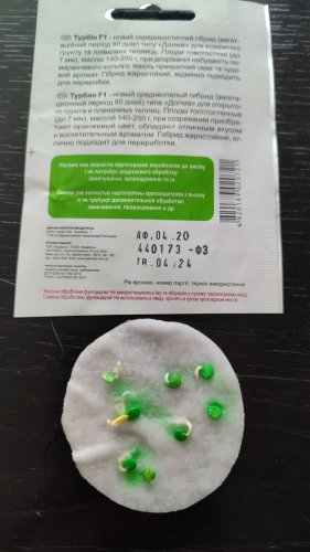 Перець Турбін F1 8 нас. 87% схожість СЦ 04.2024р 