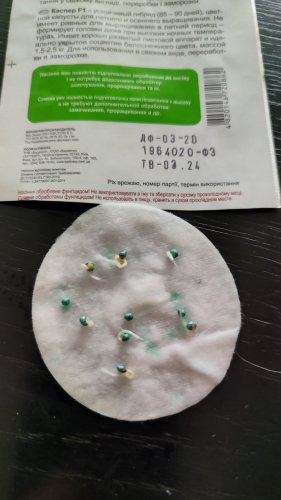 Капуста цв. Каспер F1 10 нас. 80% схожість СЦ 03.2024р