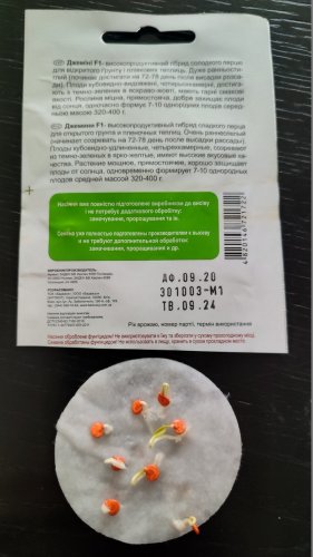 Перець Джеміні F1 8 нас. 100% схожість СЦ 09.2024р 