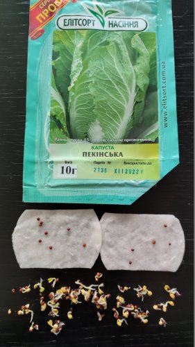 ПРОФ Капуста Пекінська 10г 12.2022р схожість 82%