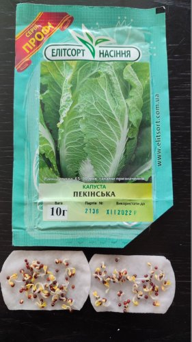 ПРОФ Капуста Пекінська 10г 12.2022р схожість 82%