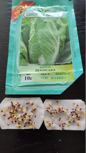 ПРОФ Капуста Пекінська 10г 12.2022р схожість 82%