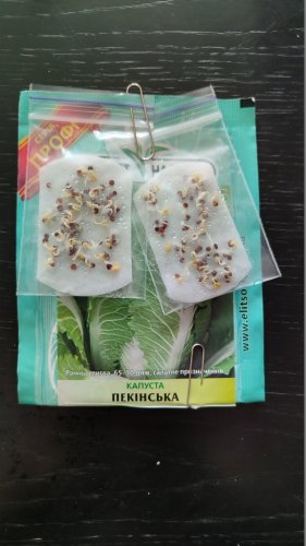 ПРОФ Капуста Пекінська 10г 12.2022р схожість 82%