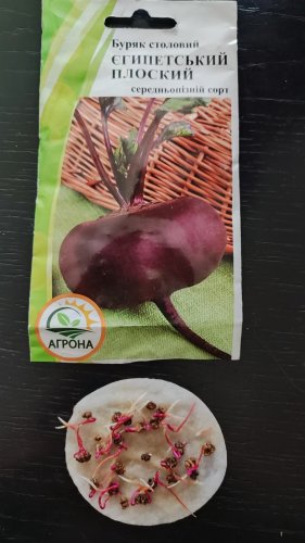 Буряк Єгипетський плоский 3г. Агрона 12.2025р