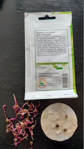 Буряк Циліндра 3г. Агрона 12.2025р 