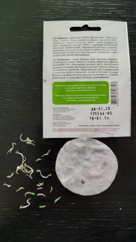 Салат Робінсон Айсберг 30 нас.90% схожість СЦ 01.2024р