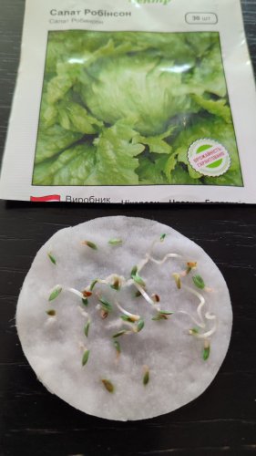 Салат Робінсон Айсберг 30 нас.90% схожість СЦ 01.2024р